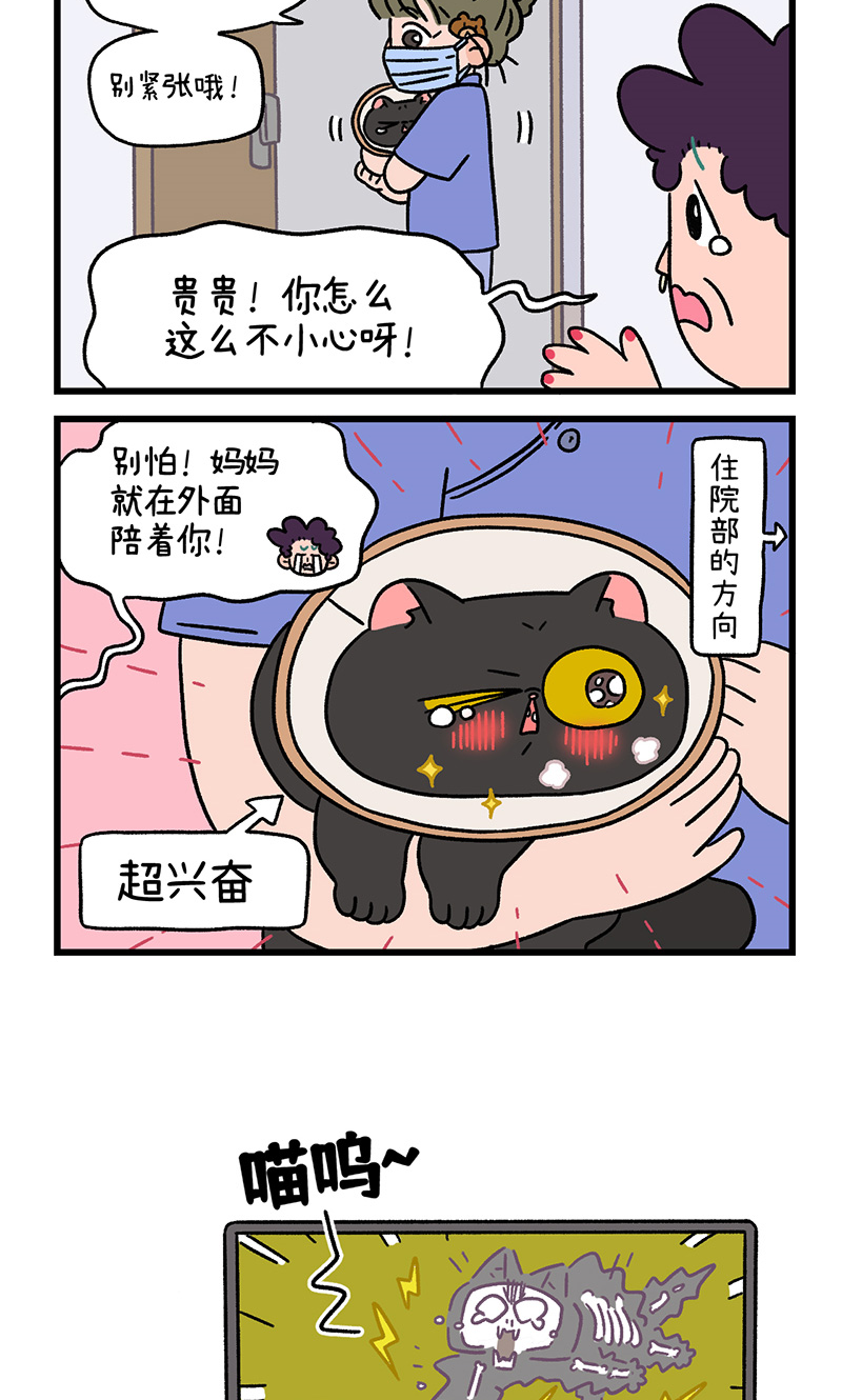 番外23下 富贵花开35