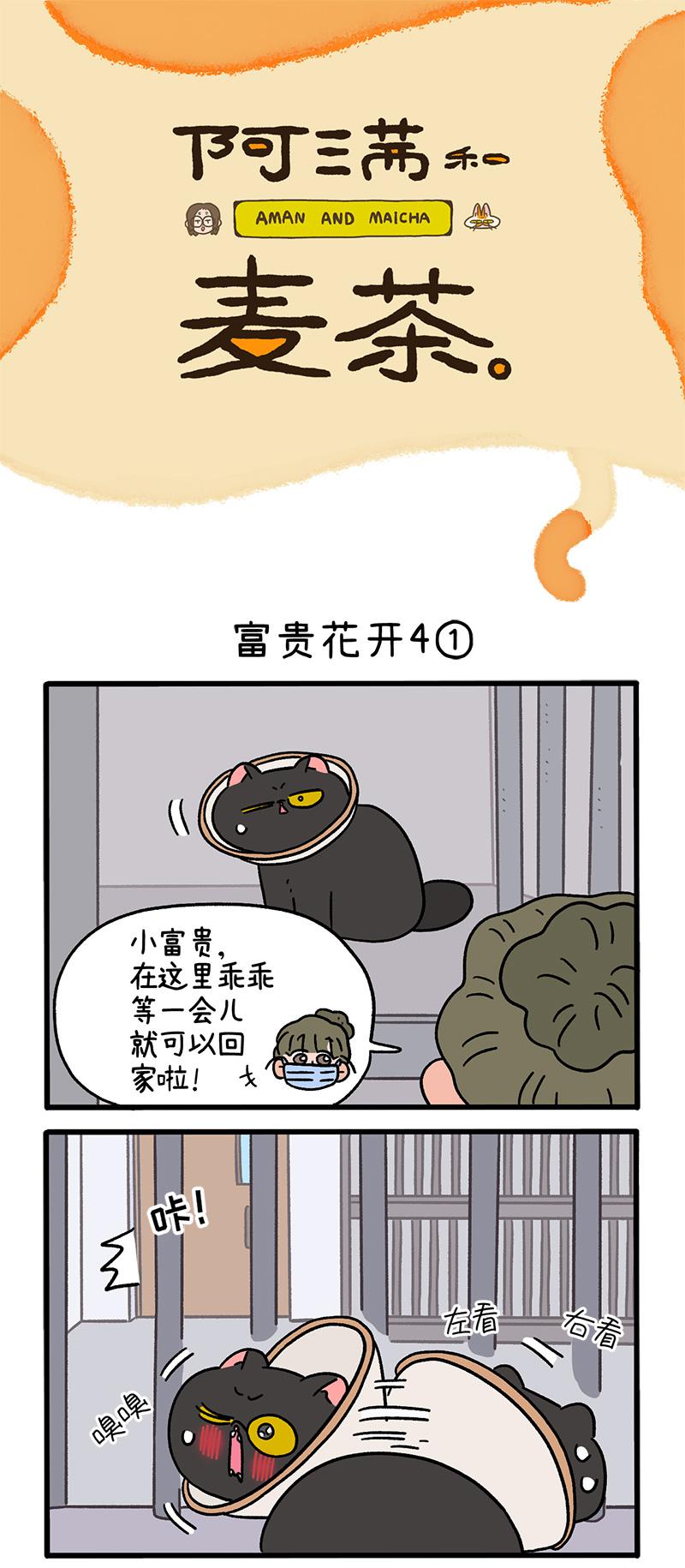 番外24上 富贵花开40