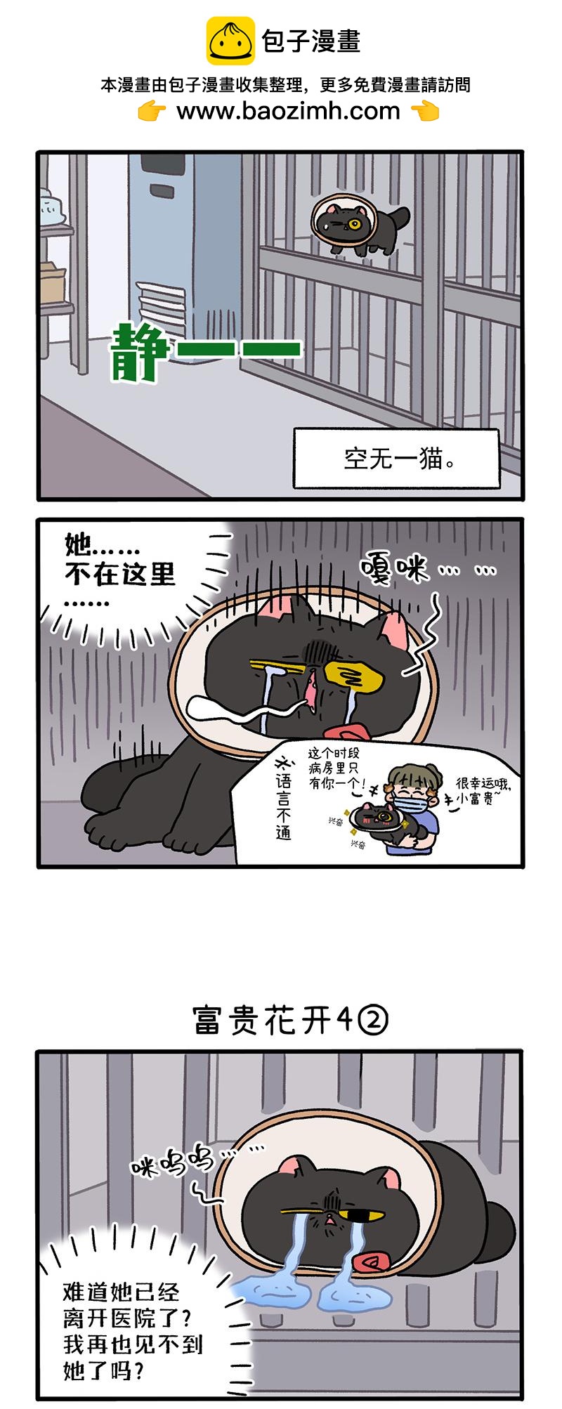 番外24上 富贵花开41