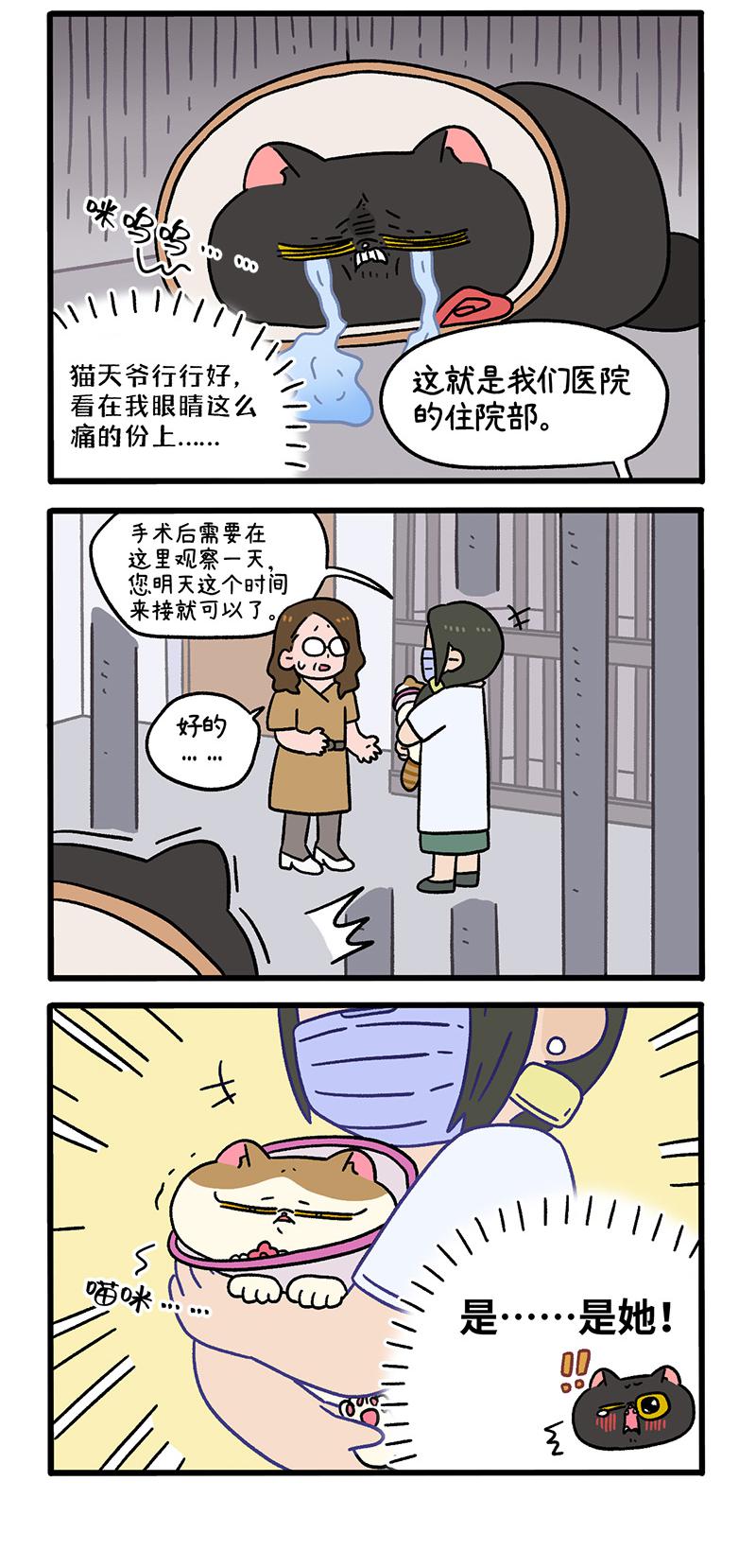 番外24上 富贵花开42