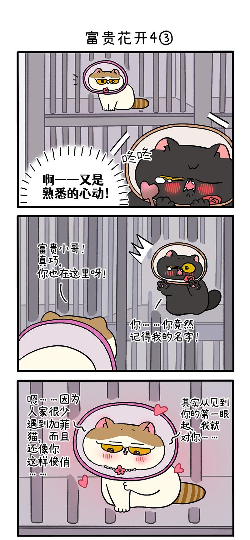 番外24上 富贵花开43
