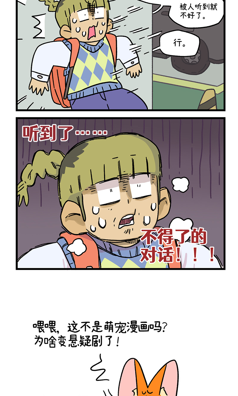 第113话 猫晶晶疑云75