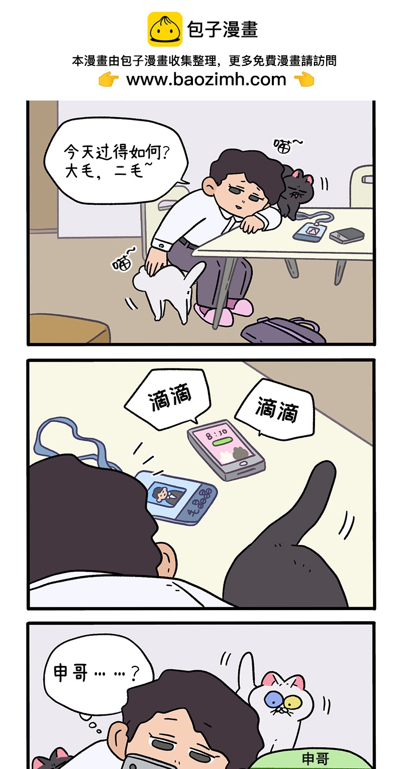 第117话1 猫晶晶疑云111