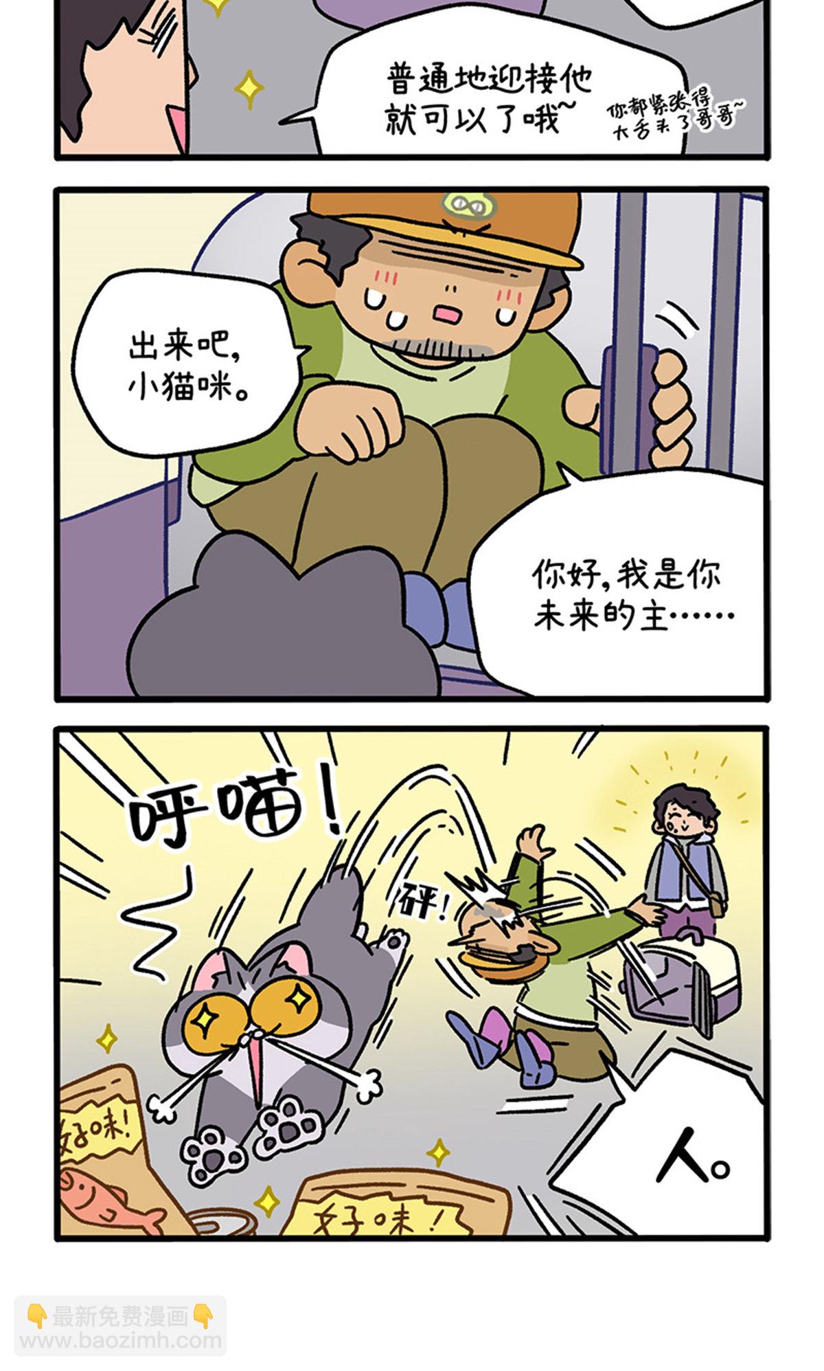 第126话1 关于毛哥是怎么有猫的3