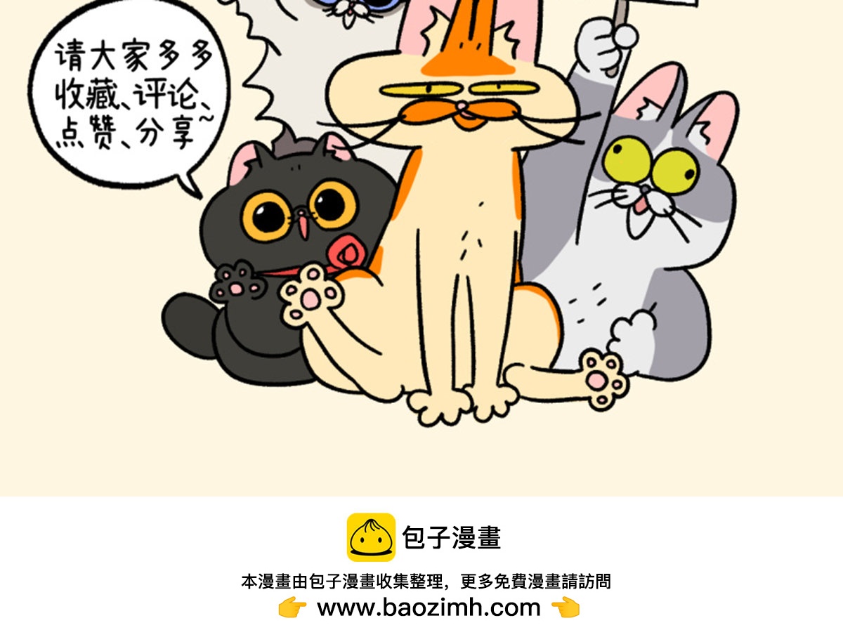 第126话2 关于毛哥是怎么有猫的8