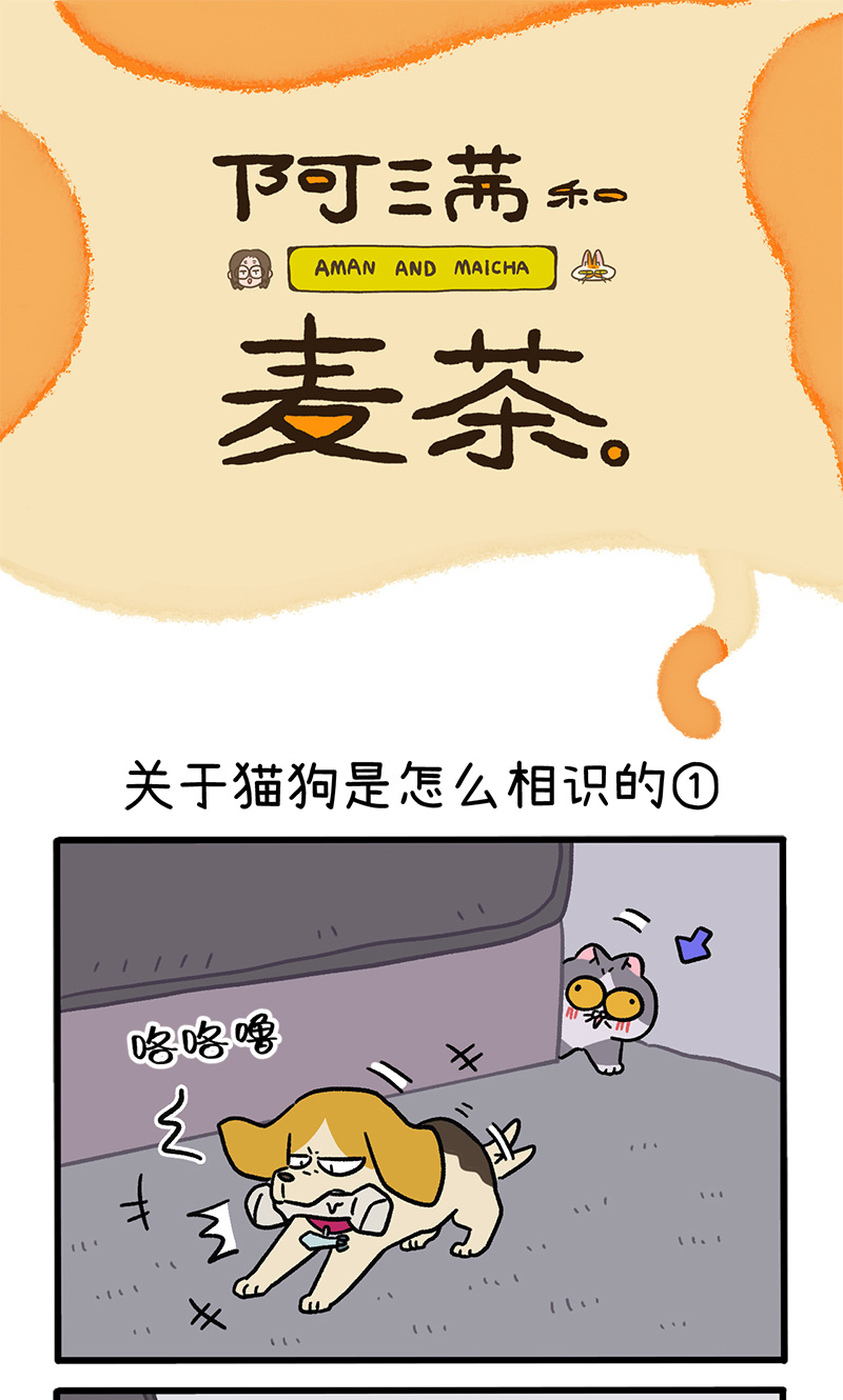 第128话1 关于猫狗是怎么相识的0