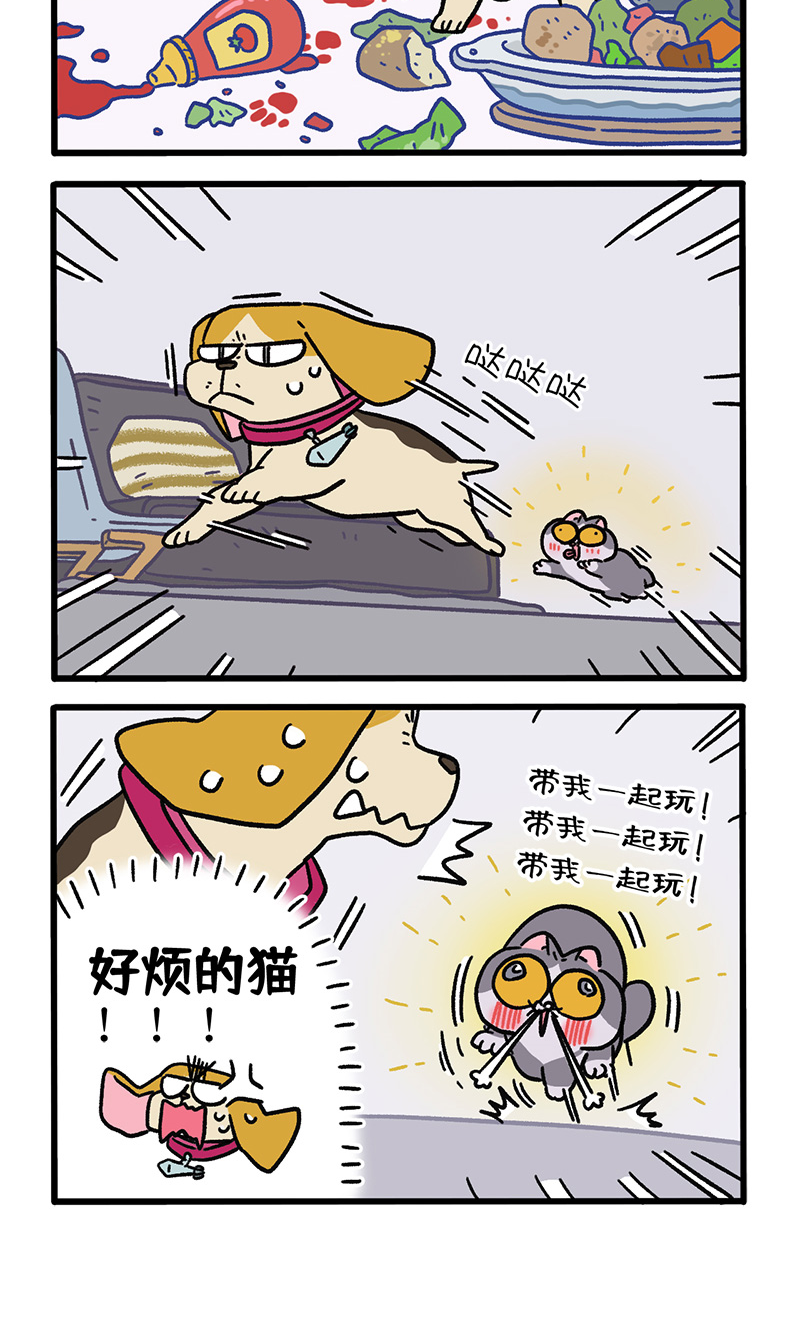 第128话1 关于猫狗是怎么相识的3