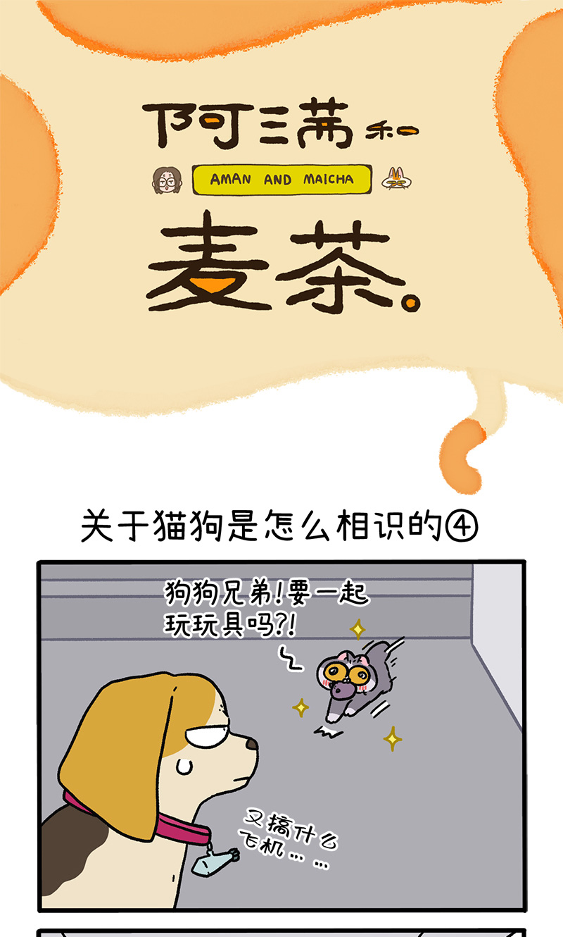 第128话2 关于猫狗是怎么相识的0