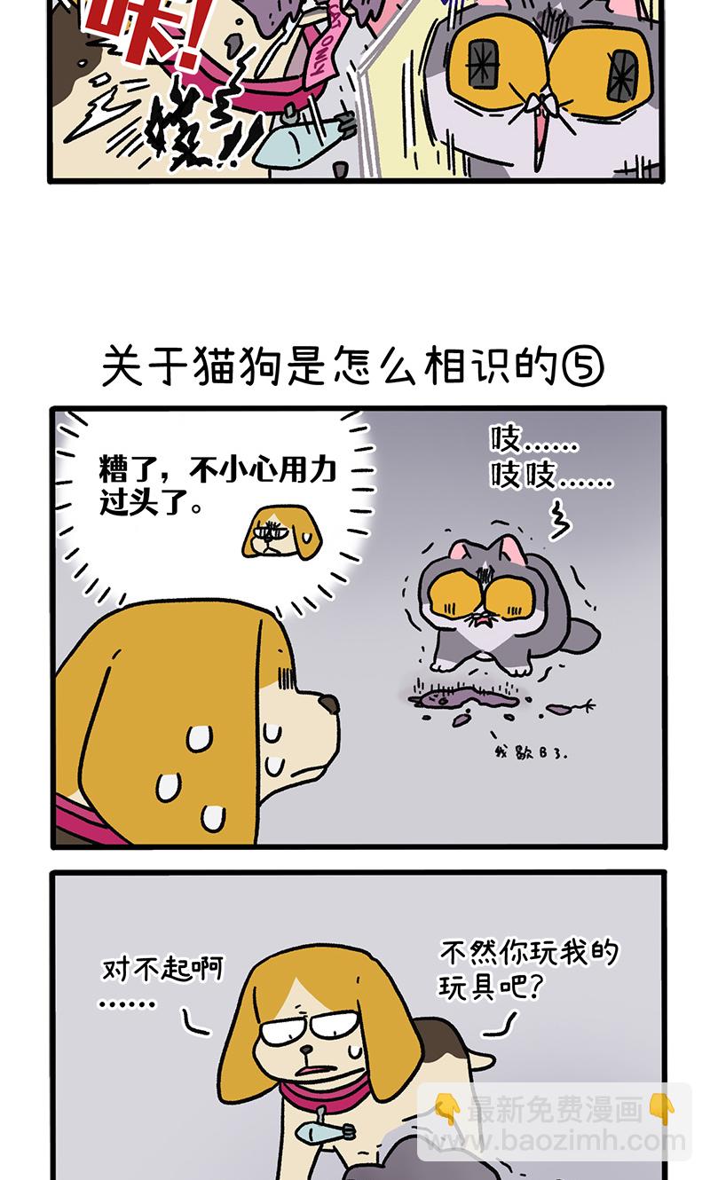 第128话2 关于猫狗是怎么相识的2