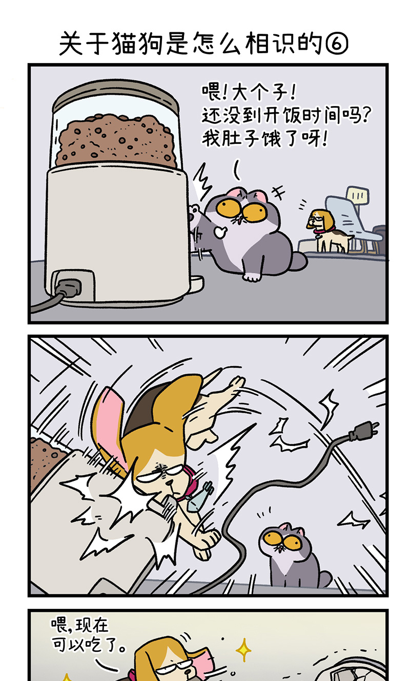 第128话2 关于猫狗是怎么相识的4