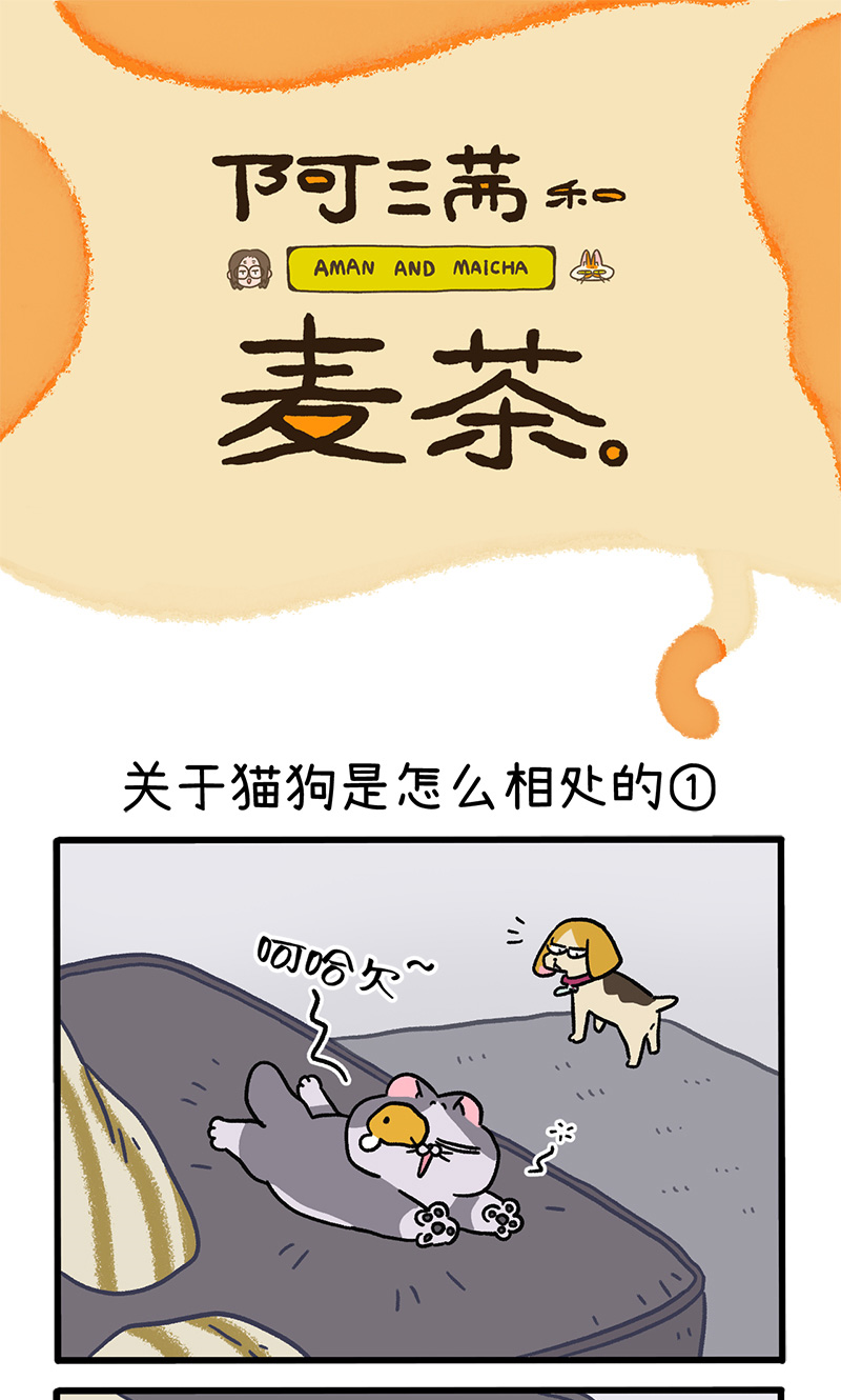 第129话1 关于猫狗是怎么相处的0
