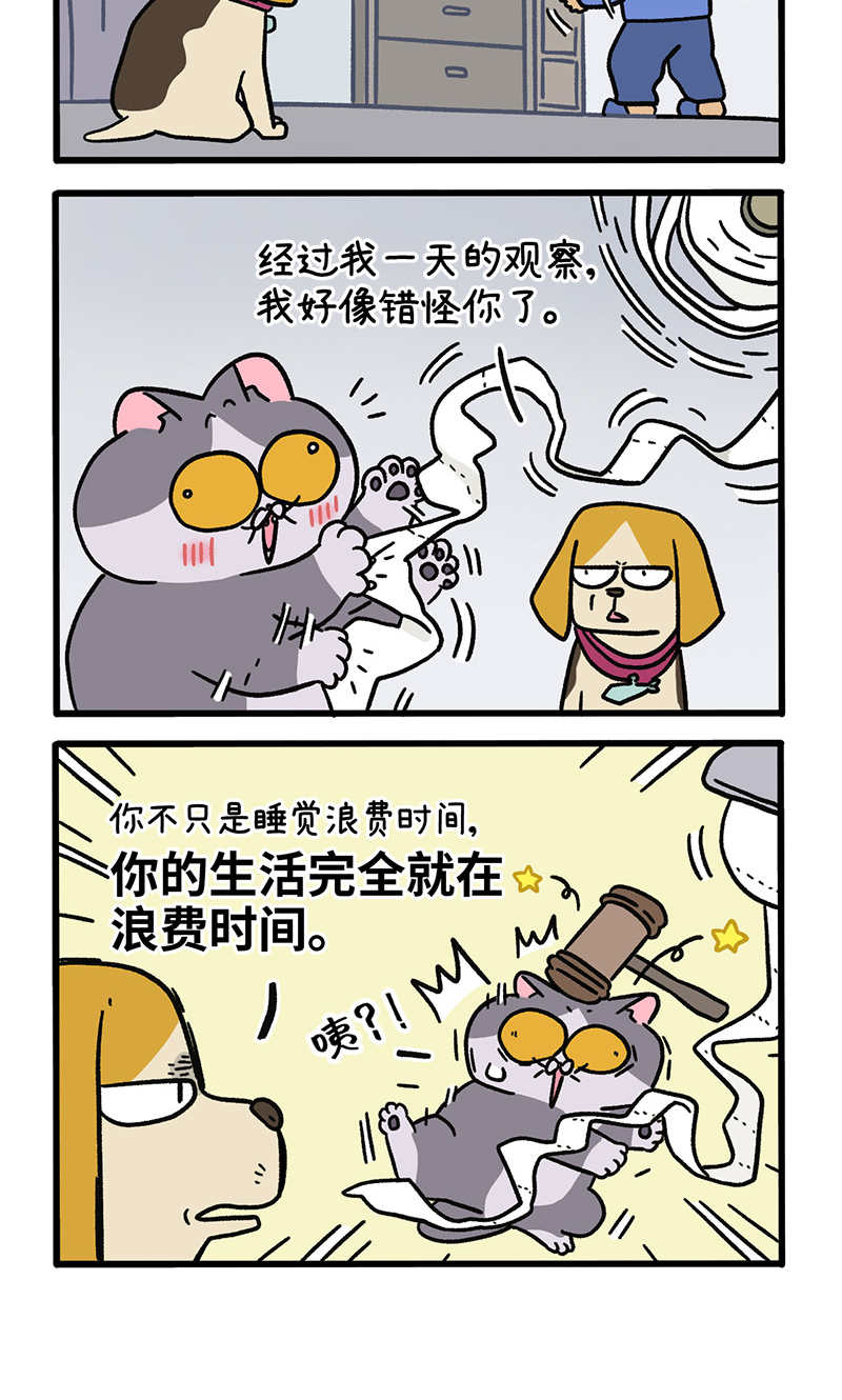 第129话1 关于猫狗是怎么相处的3