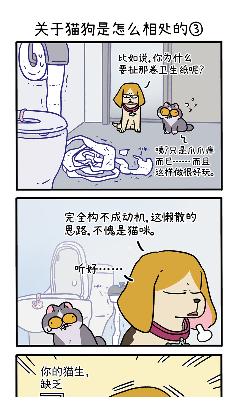 第129话1 关于猫狗是怎么相处的4