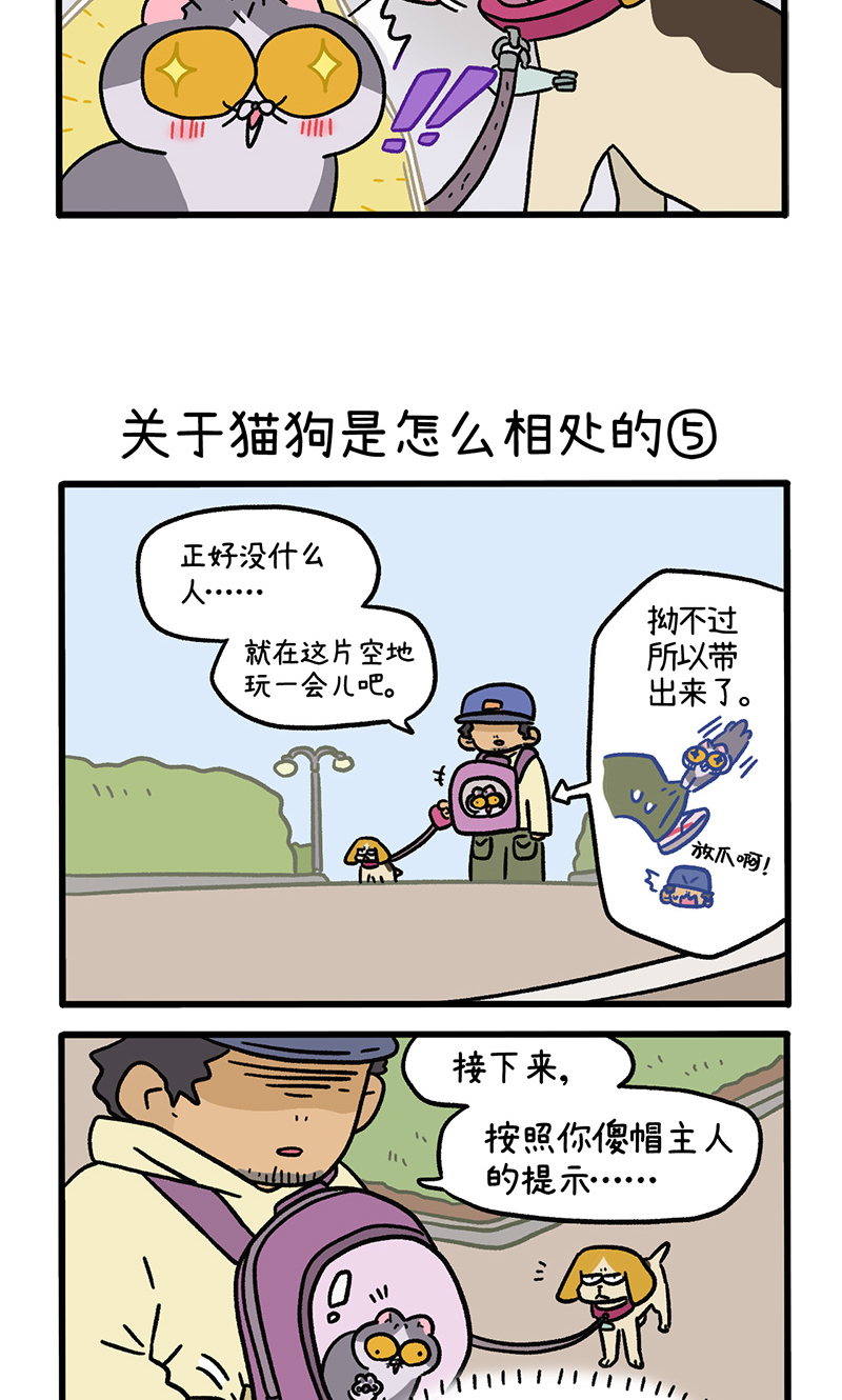 第129话2 关于猫狗是怎么相处的2