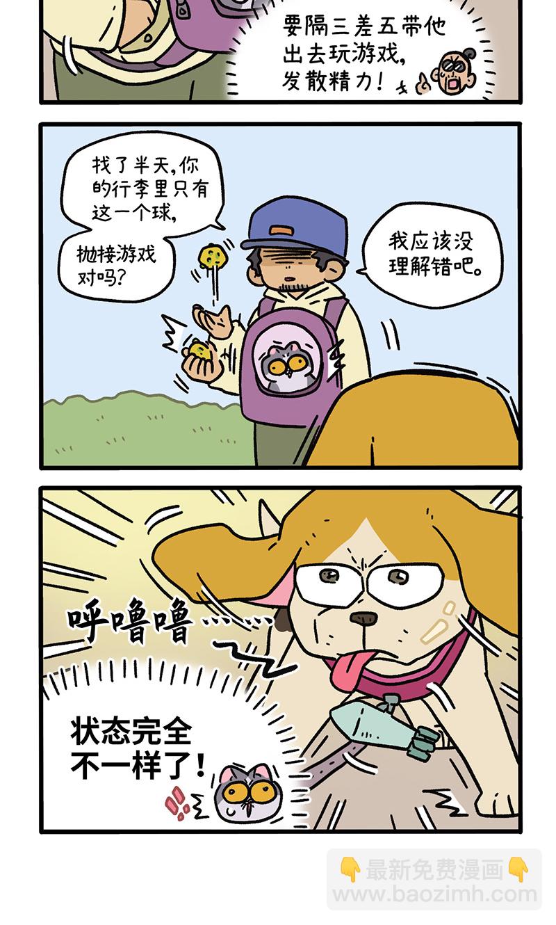 第129话2 关于猫狗是怎么相处的3