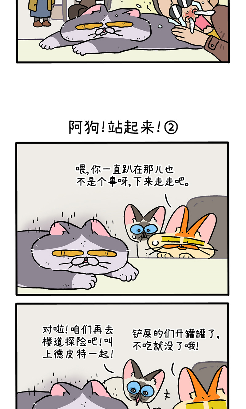 第131话1 阿狗！站起来！2