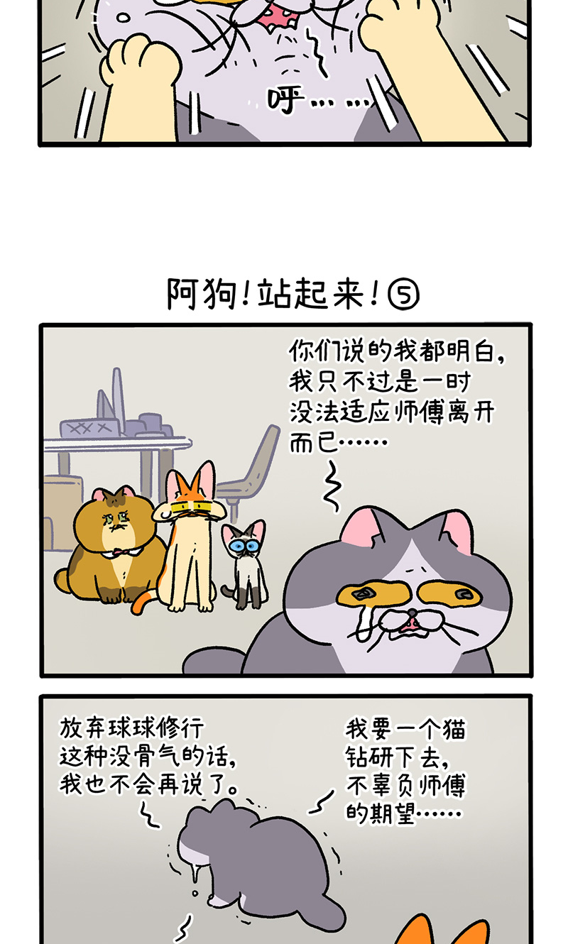第131话2 阿狗！站起来！2