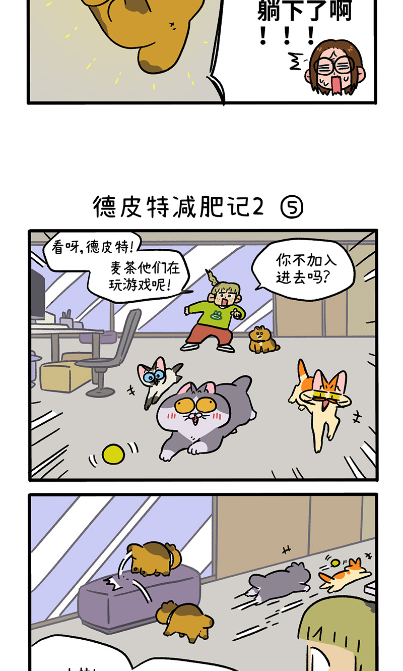 第133话2 德皮特减肥记22