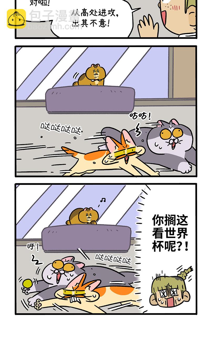 第133话2 德皮特减肥记23