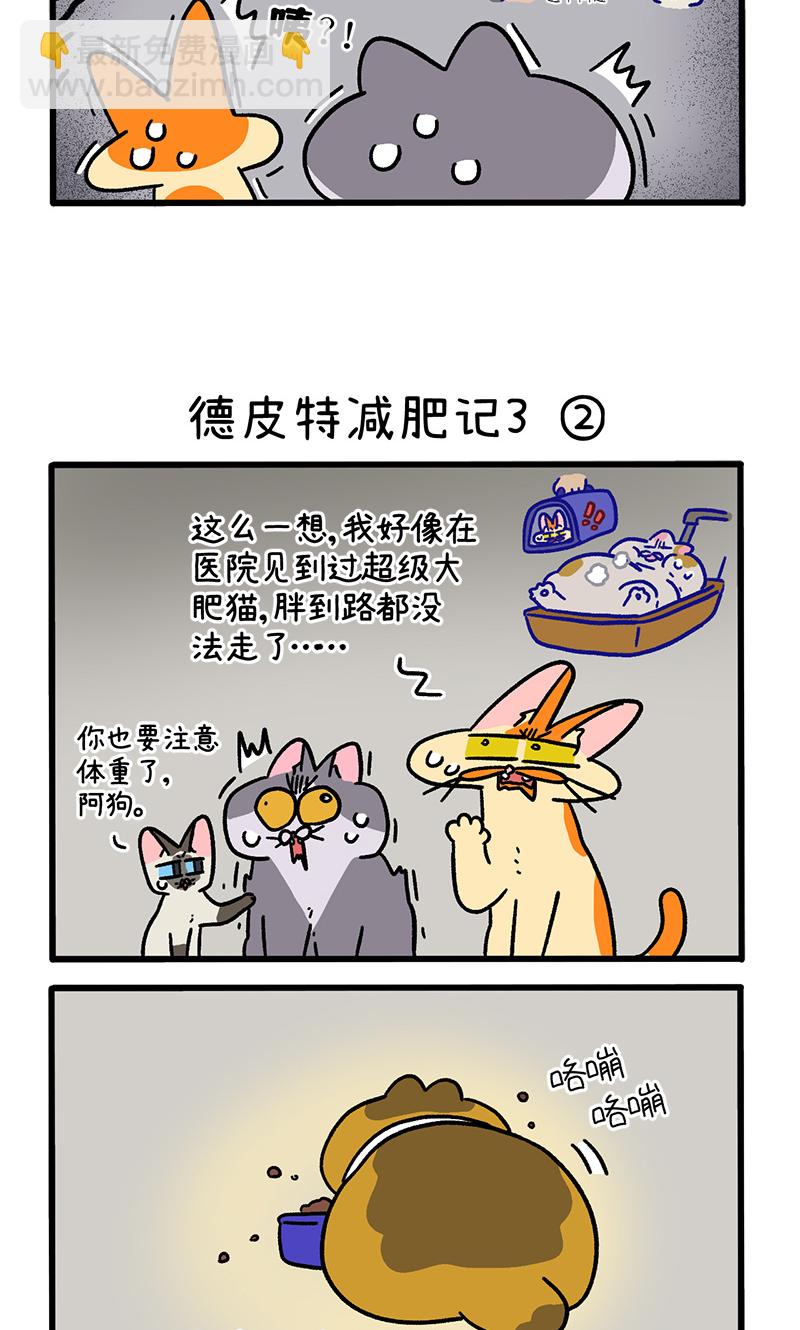 第134话1 德皮特减肥记32