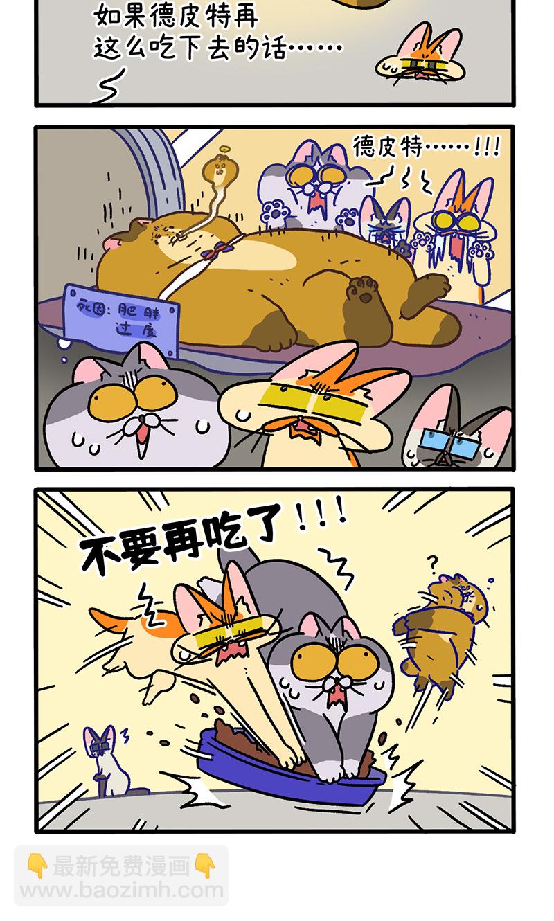 第134话1 德皮特减肥记33