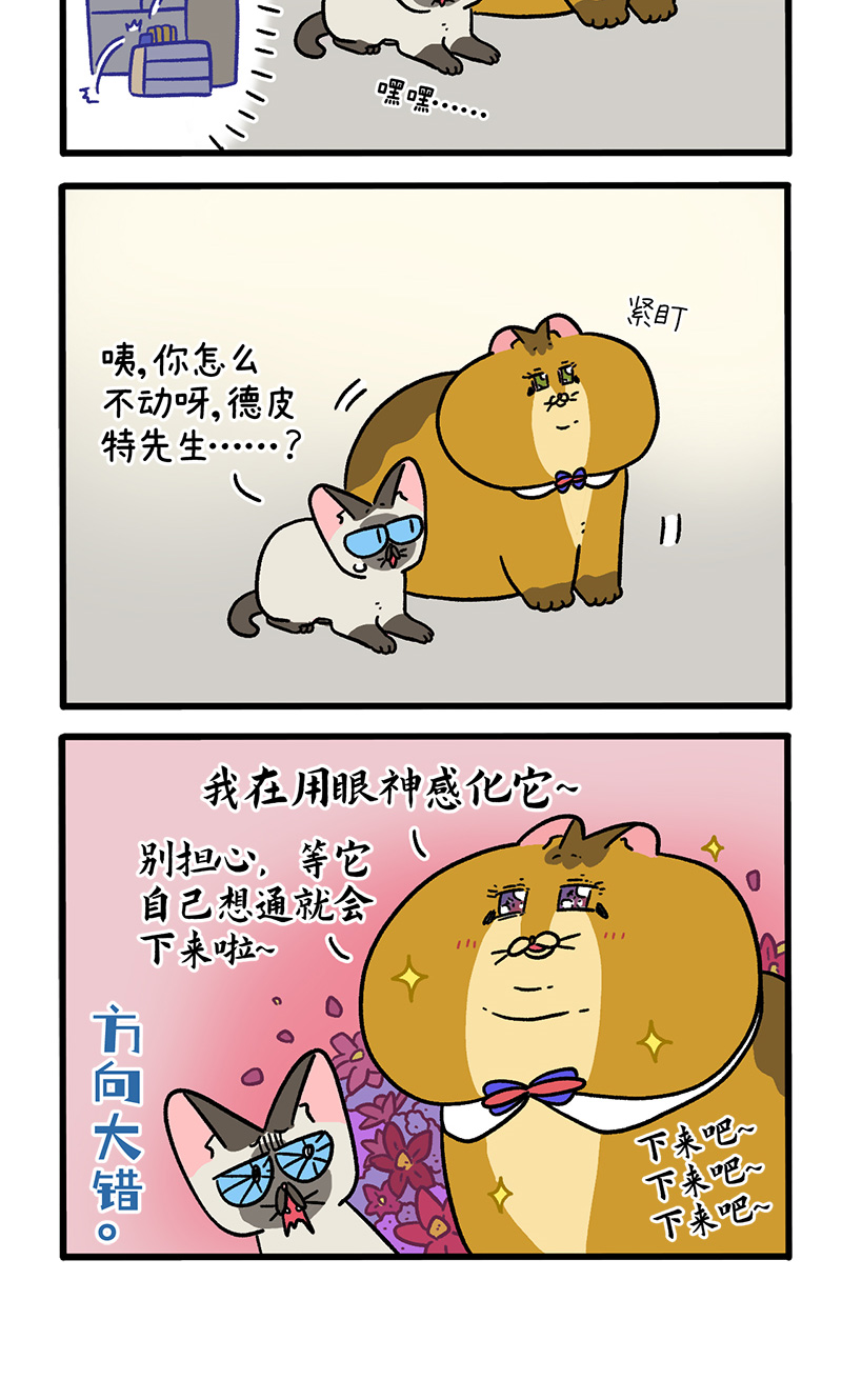 第134话2 德皮特减肥记33
