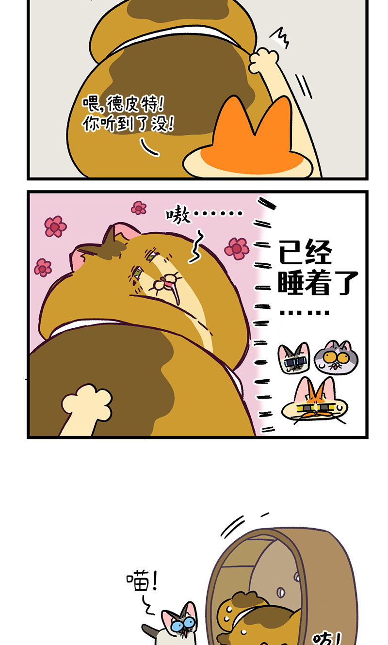第134话2 德皮特减肥记35