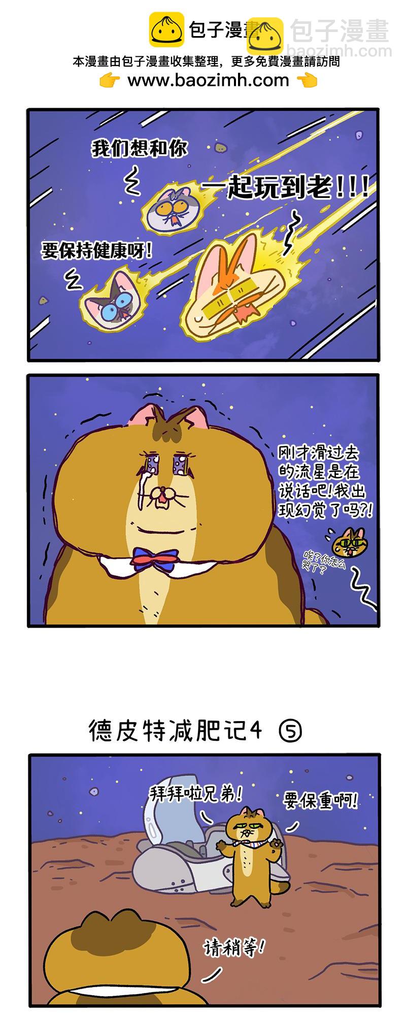 第135话2 德皮特减肥记41