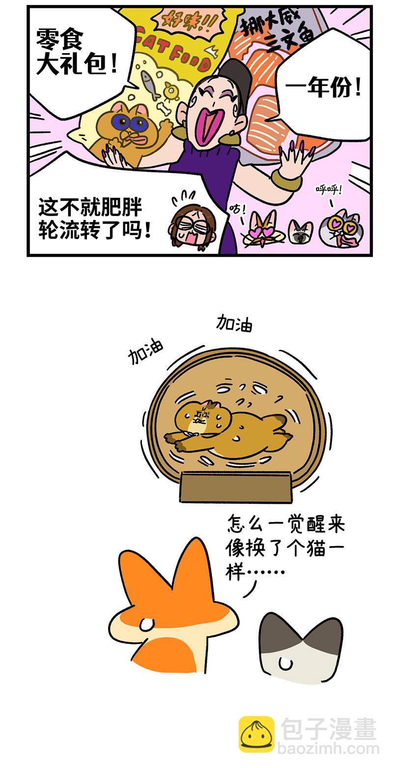 第135话2 德皮特减肥记44