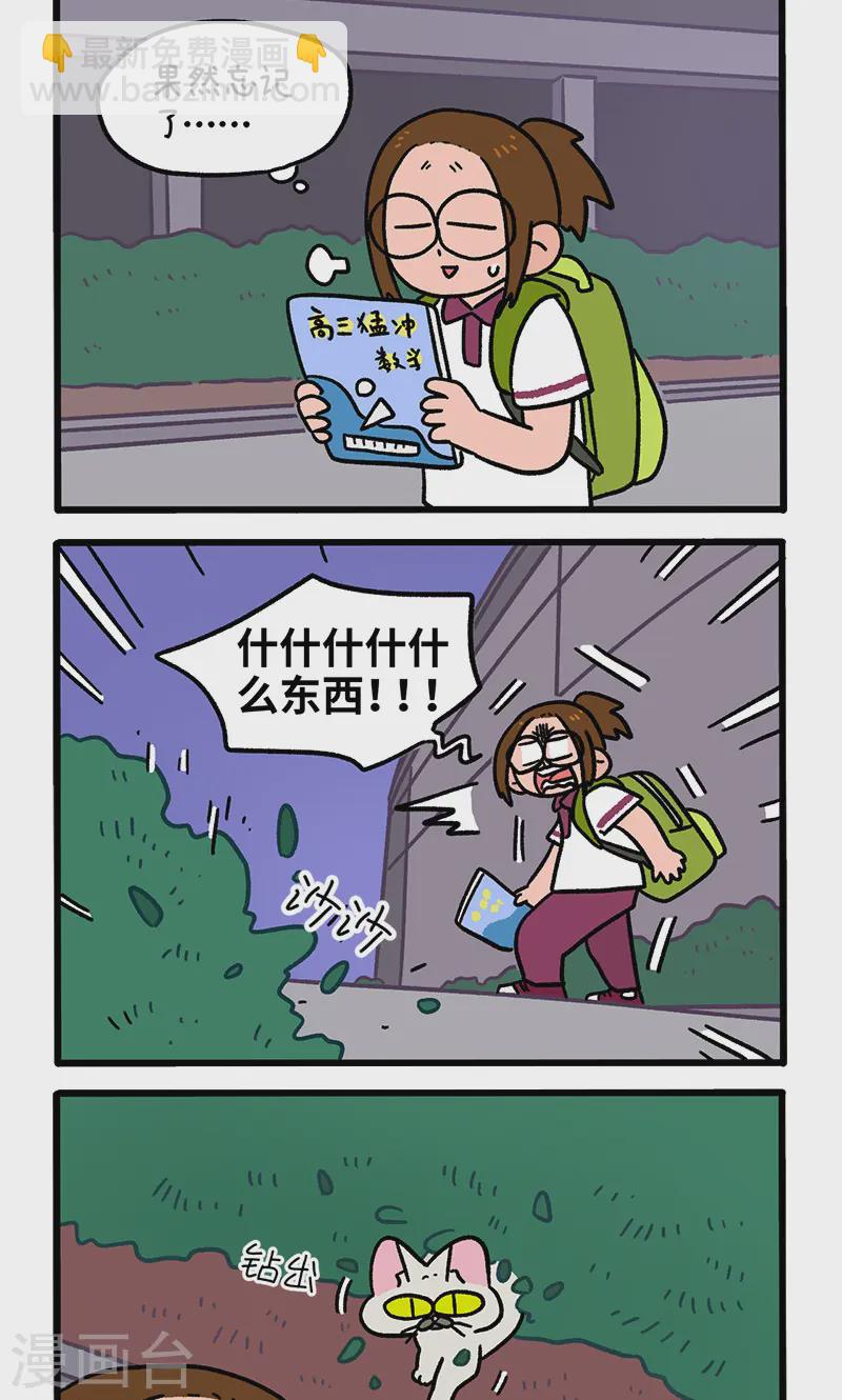 第140话1 第二只猫咪1
