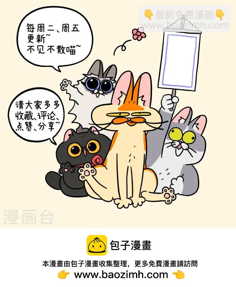 第142话2 田园名猫6