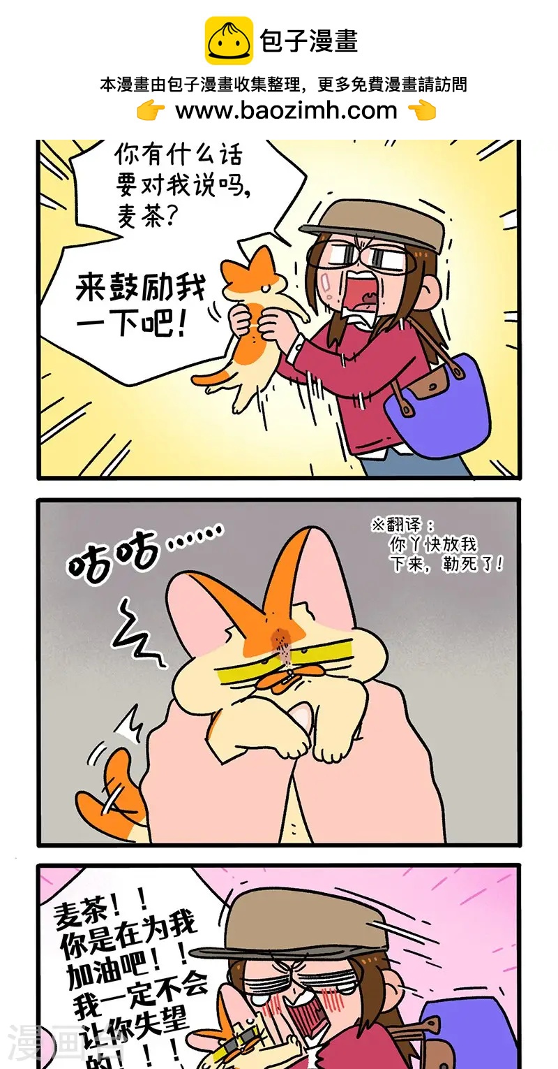 第146话1 面试1