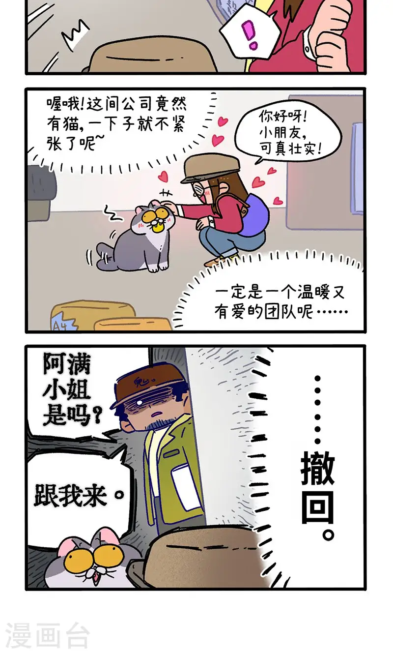 第146话1 面试3
