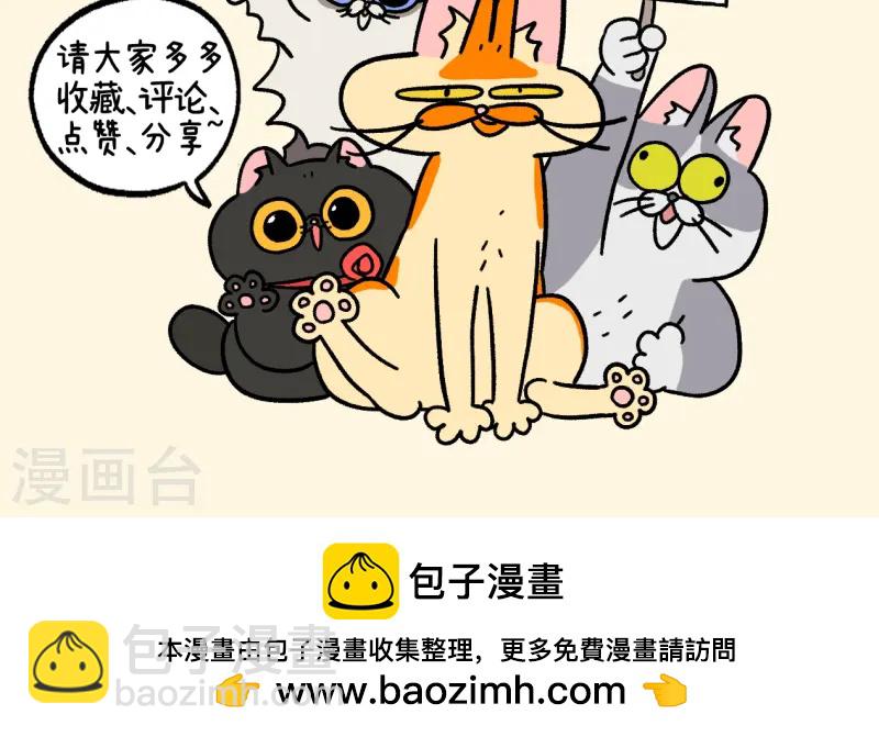 第146话2 面试8