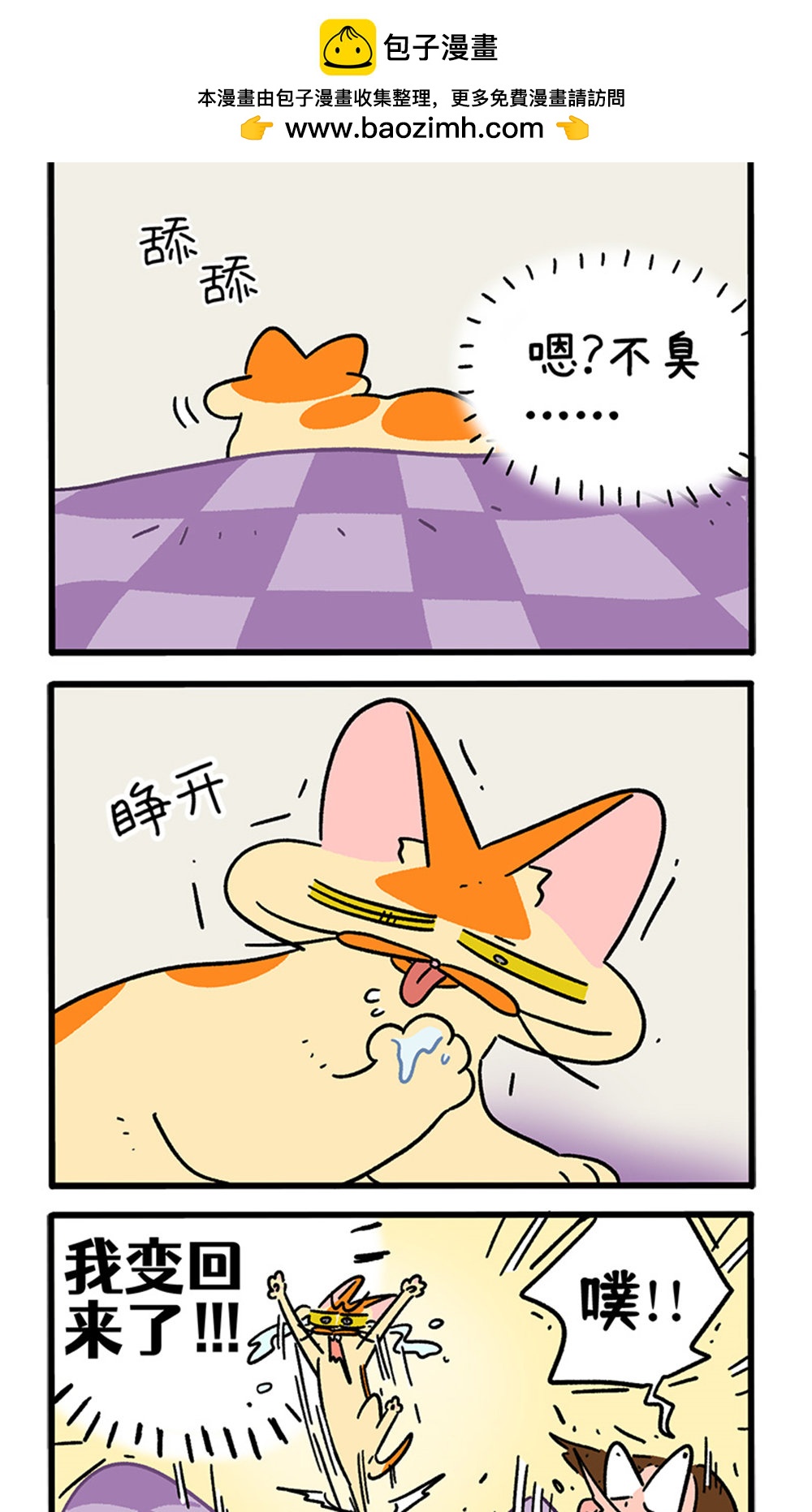 第155话2 如果交换身体的话61