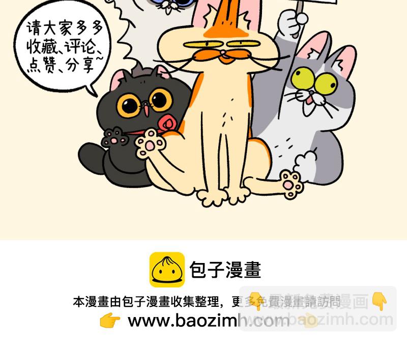 第156话2 猫晶晶的春日企划18