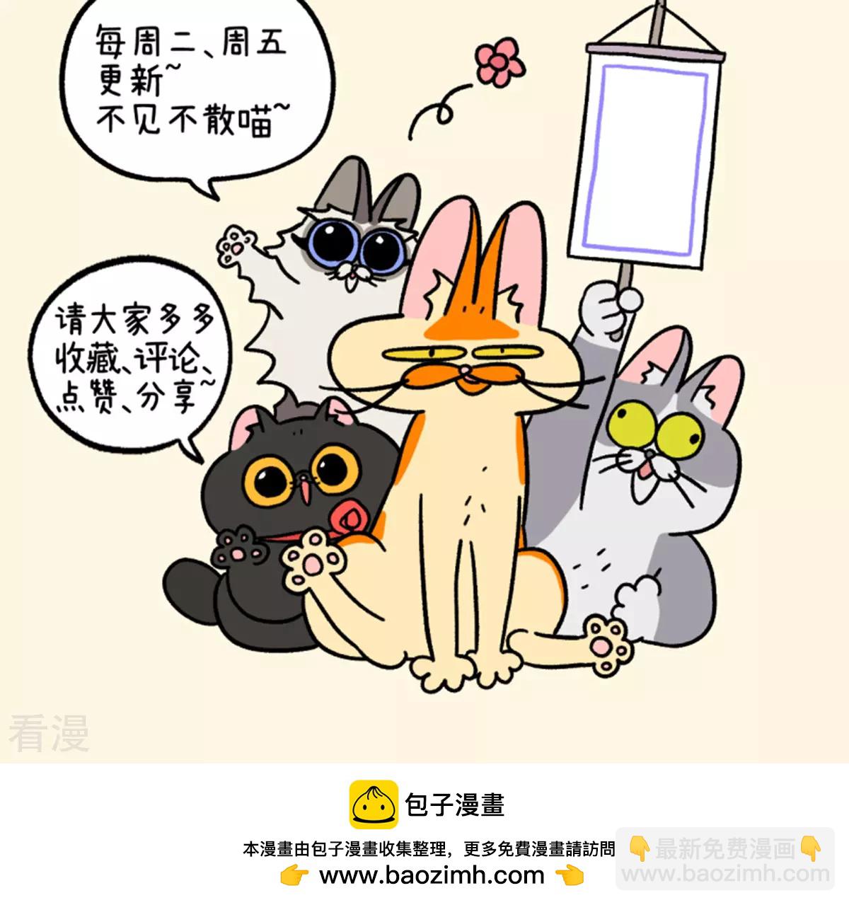 第158话1 猫晶晶的春日企划37