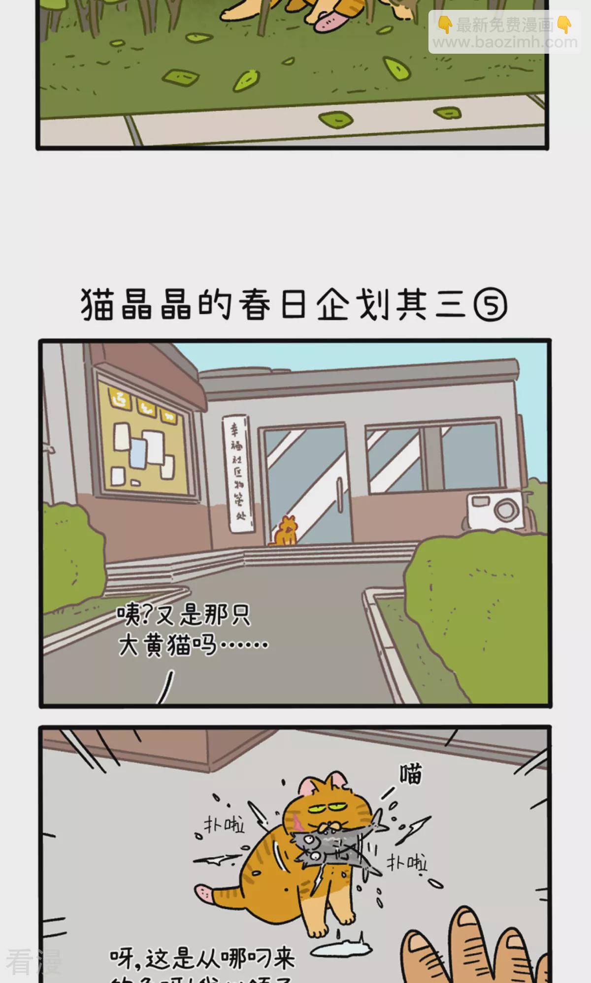 第158话2 猫晶晶的春日企划32