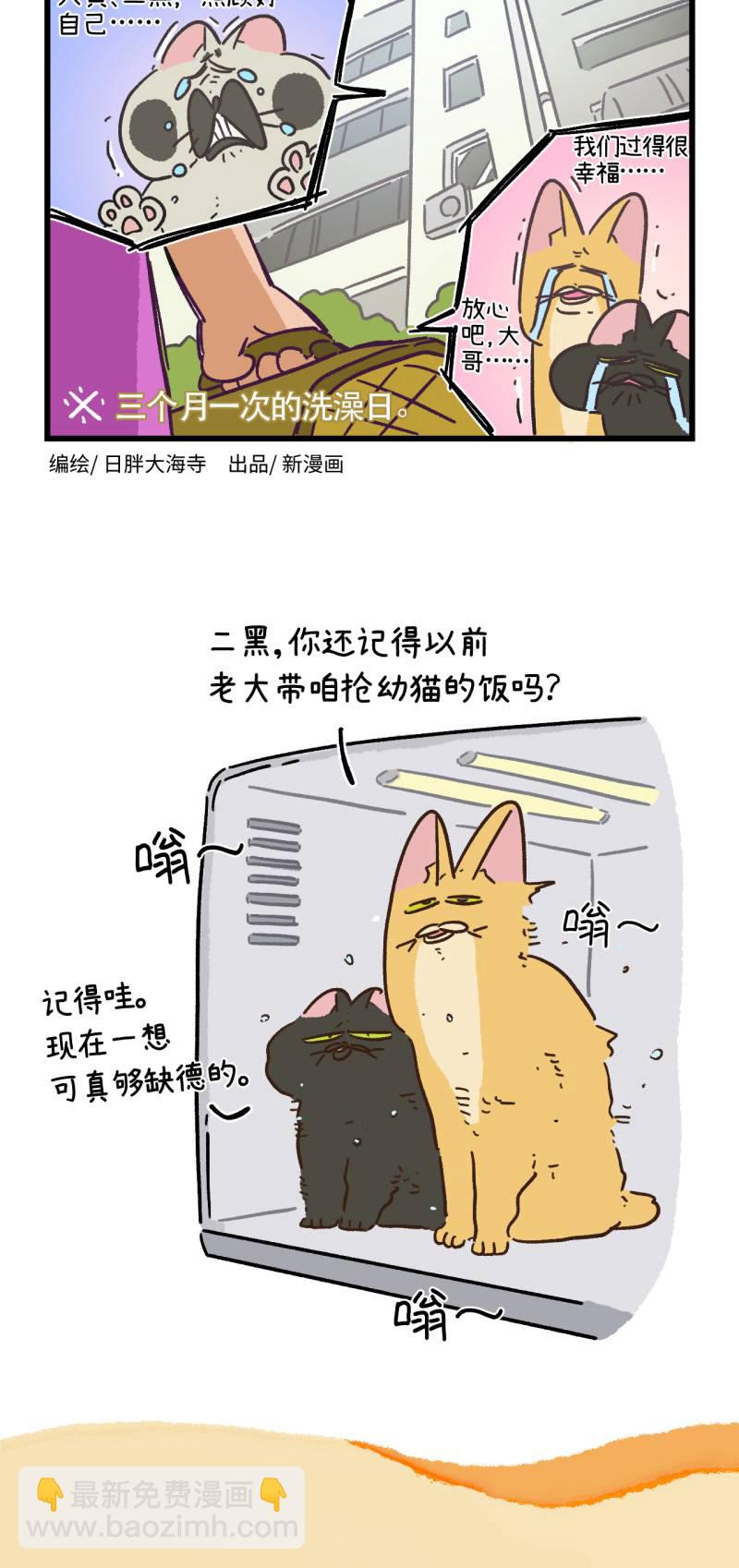第166话5