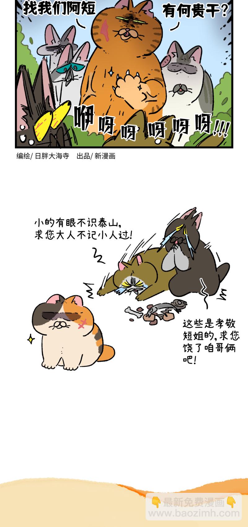 第167话3