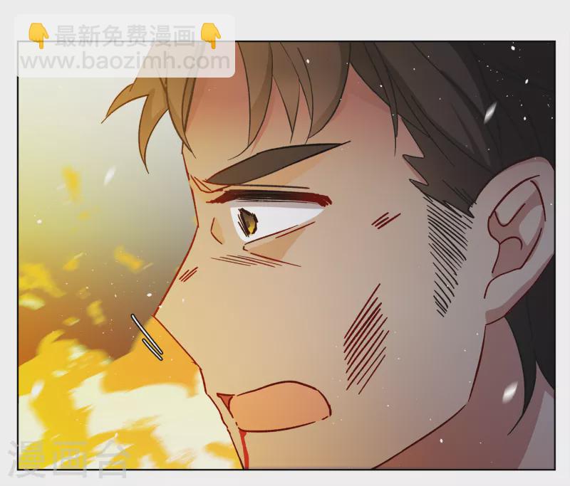 第196话 算无遗策216