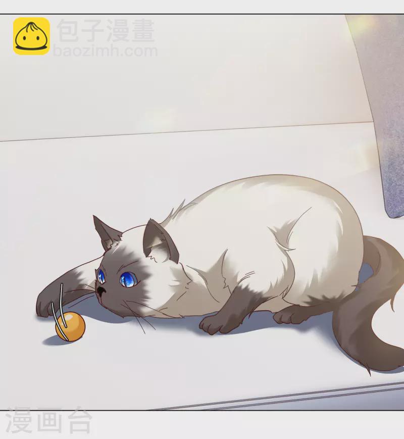 第272话 公主的替身315