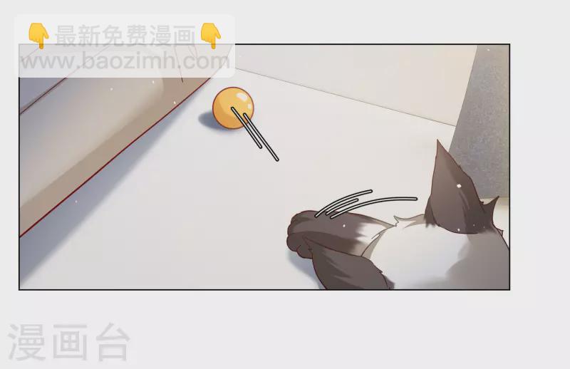 第272话 公主的替身316