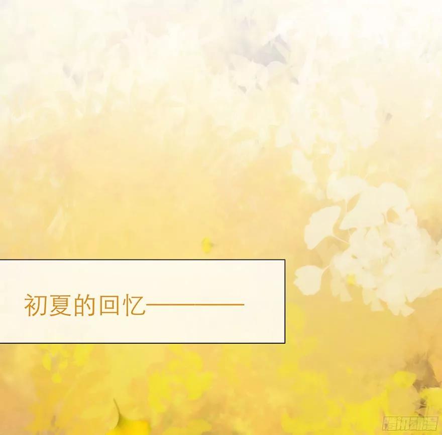 初夏的梦魇0
