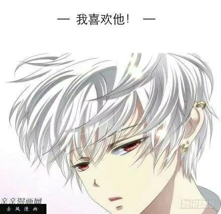 我喜欢他0
