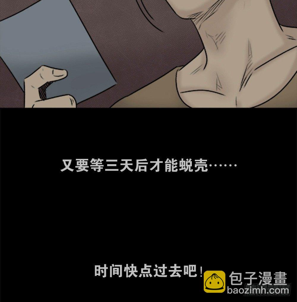 蜕壳（1）81