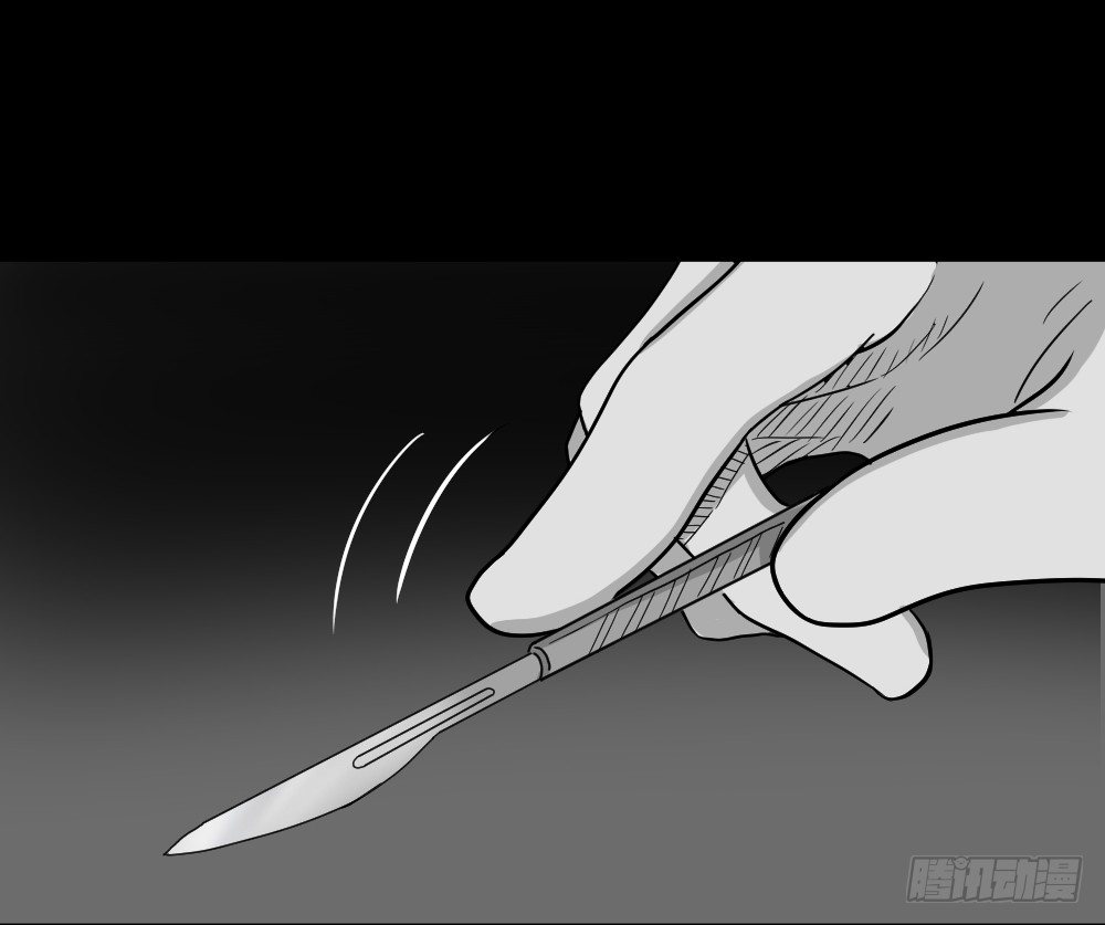 我的法律（3）25