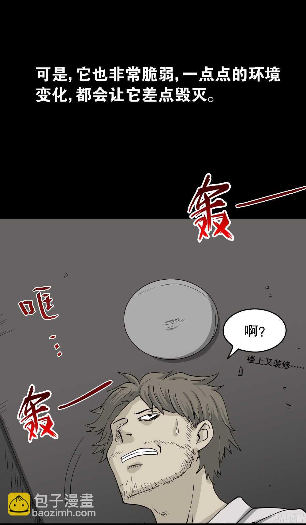 微观世界48