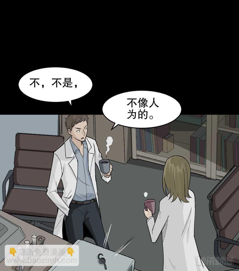 进化（2）27