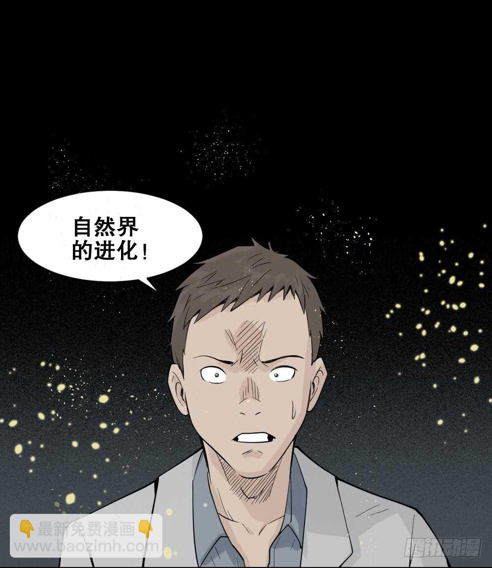 进化（2）41